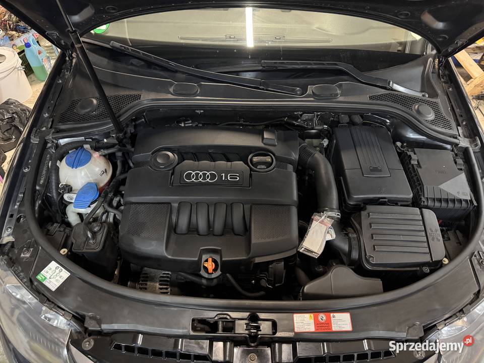 Audi a3 8p 16 mpi lubelskie Biała Podlaska