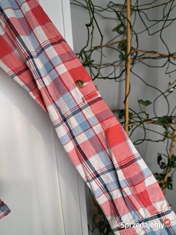 Koszulka w kratę 365 Sunshine 34 100 bawełna długi