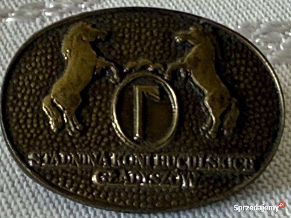 Metalowa Broszka Odznaka Stadnina Koni Czerwionka-Leszczyny