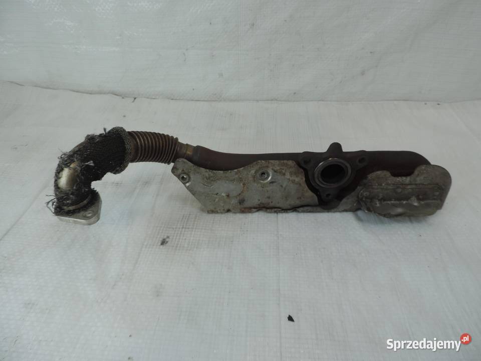KOLEKTOR WYDECHOWY 428702815 Opel Insignia B
