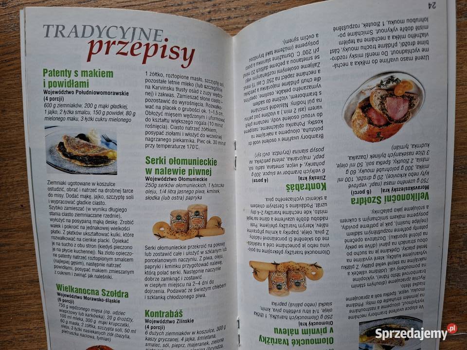 Morava a Slezsko Morawy i Śląsk przewodnik małopolskie sprzedam