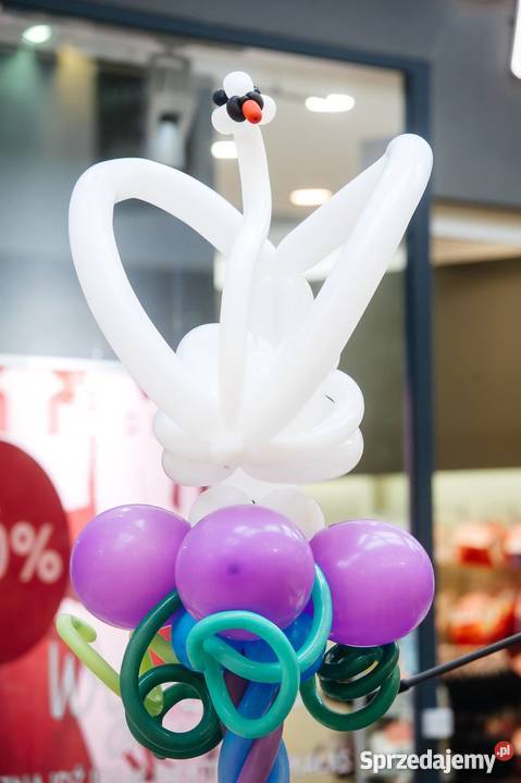 Balloon Duo Ekologiczno Przyrodniczy Teatrzyk Warszawa