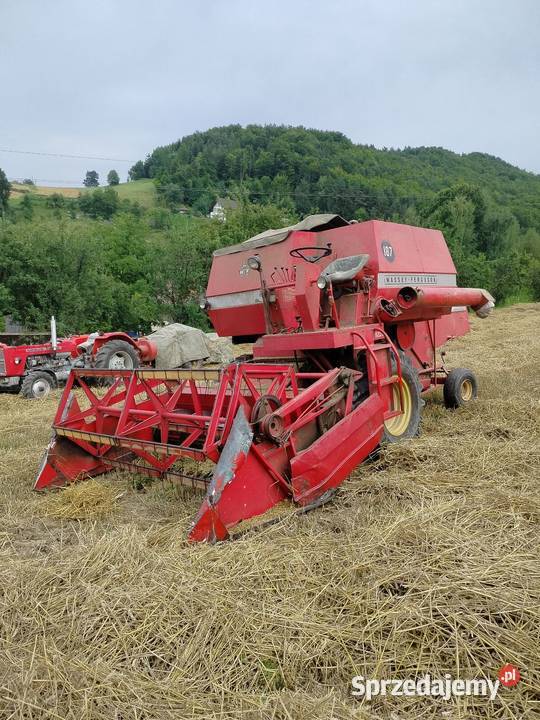 MF 187 Massey Ferguson Stańkowa sprzedam