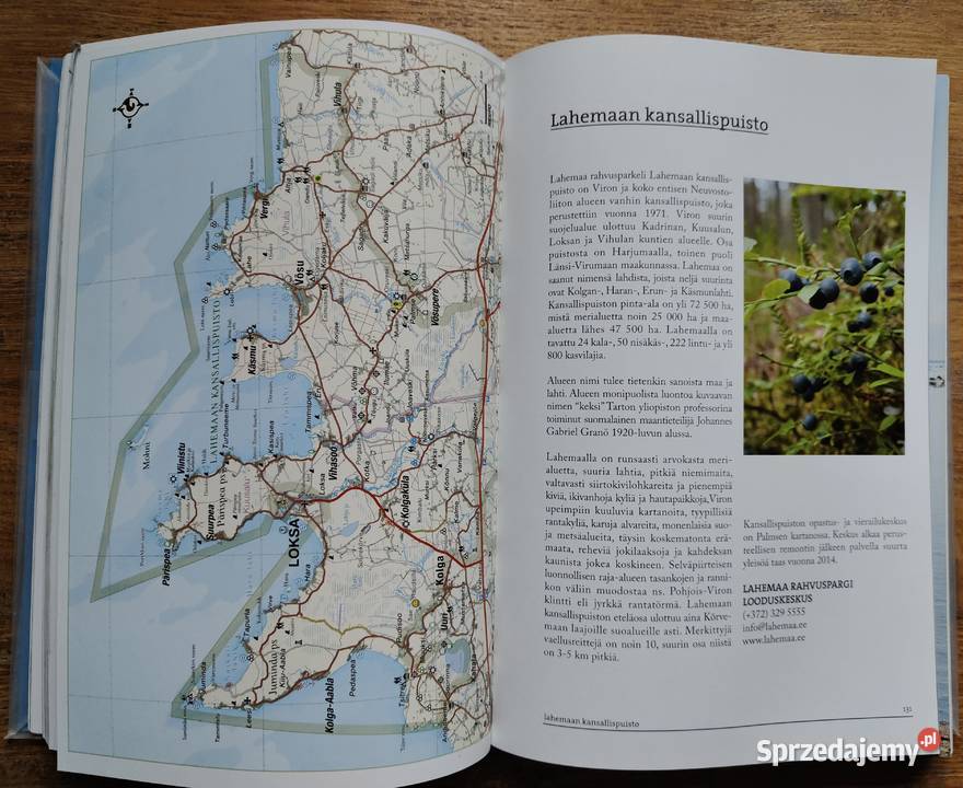 Estonia Tapion matkassa Rakveren seudulle Tapio Kraków