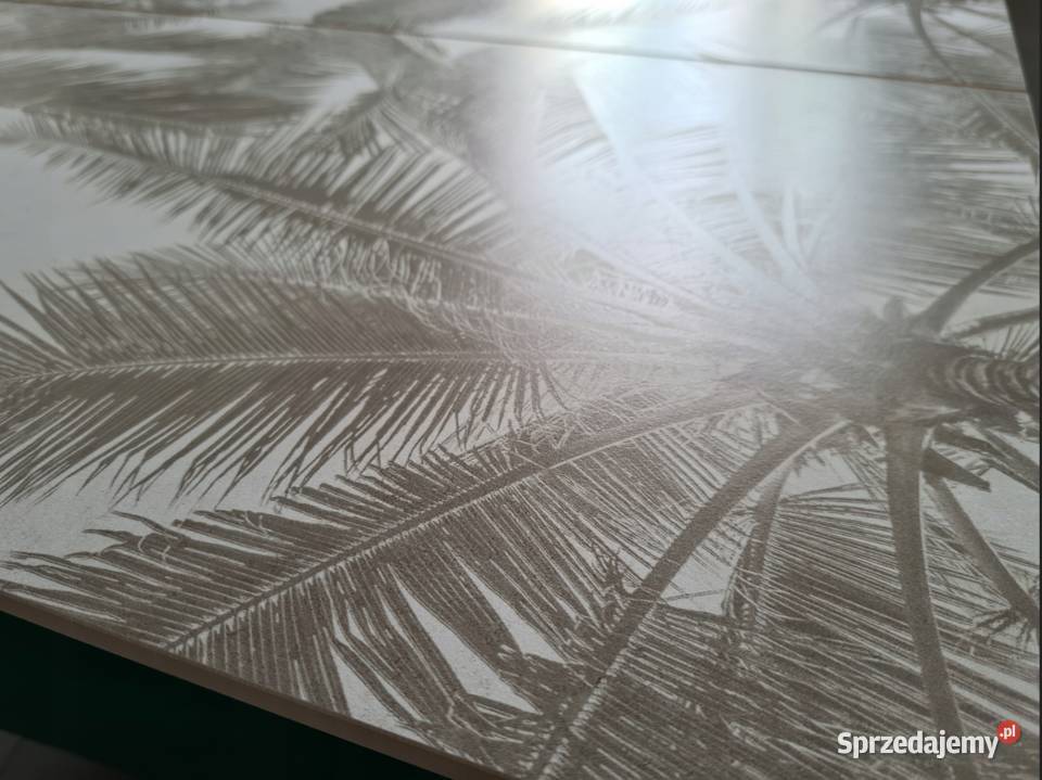 Płytka ścienna DDUST FLORAL DEKOR 298X748 GAT 3 łódzkie Opoczno