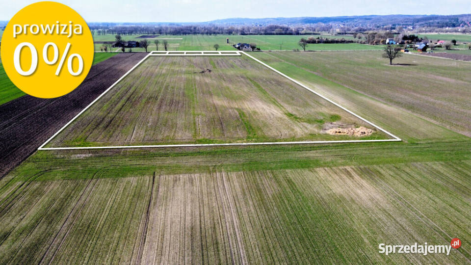 Grunt 449 ha z koncepcją 5 domów Jenin 0 budowlana