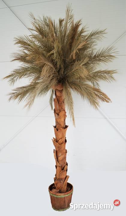 Palma sztuczna Sztuczne drzewka 2,5m GRATISY