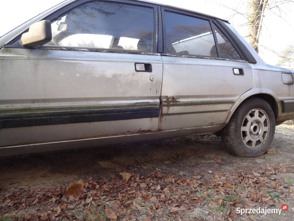 Peugeot 505 Peugeot Kalwaria Zebrzydowska