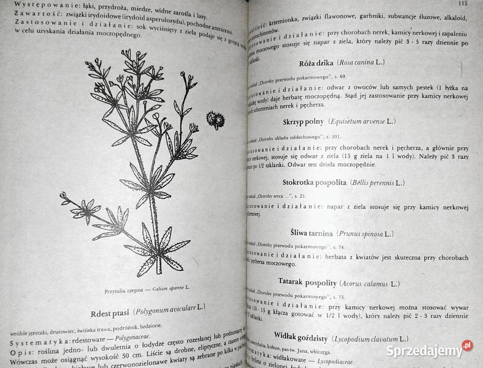 Przewodnik ziołolecznictwa ludowego E Kuźniewski Pozostałe lubelskie Chełm