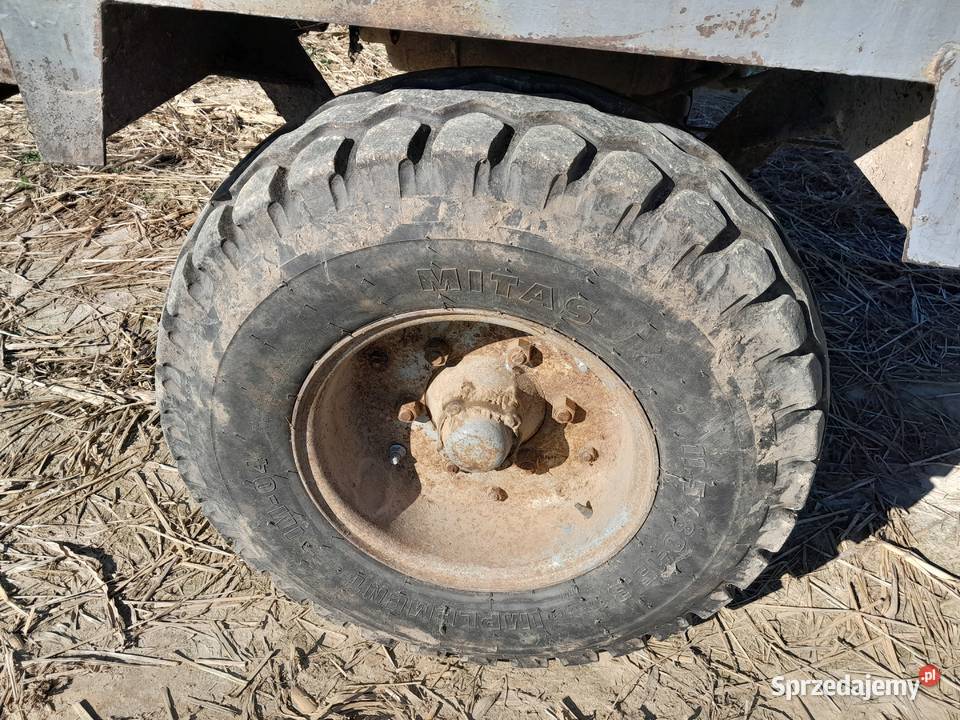 Rorzutnik małopolskie Gnojnik