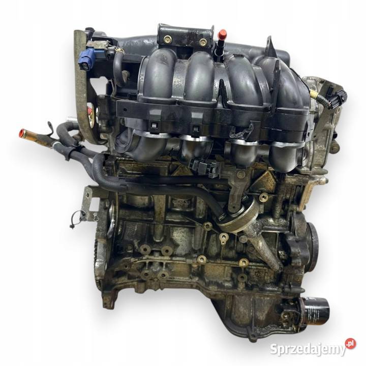 SILNIK QR20 QR20DE Nissan Primera P12 XTrail X Chełm