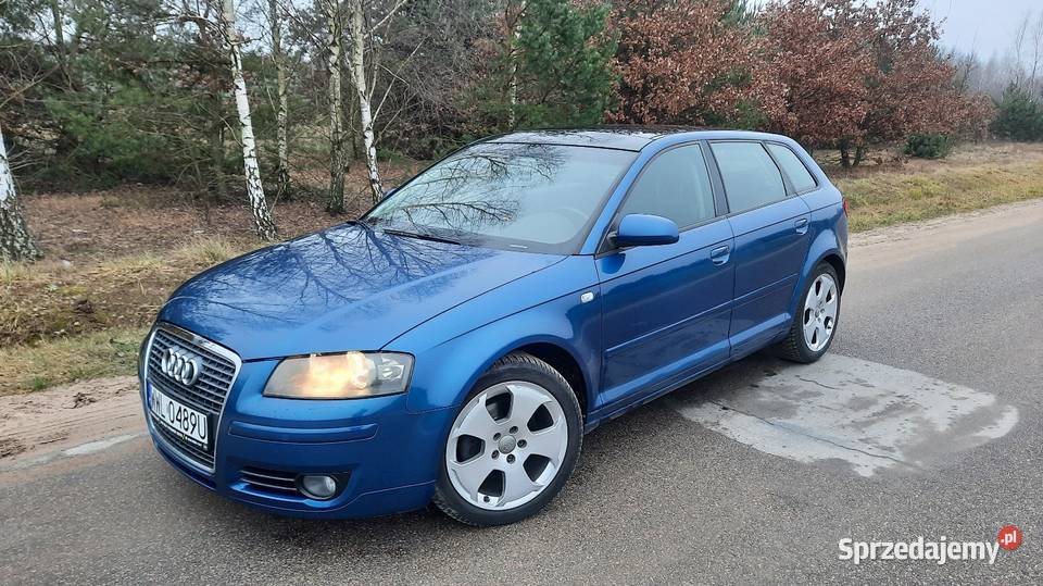 Audi A3 8P 2.0FSI 2005r ZADBANE!