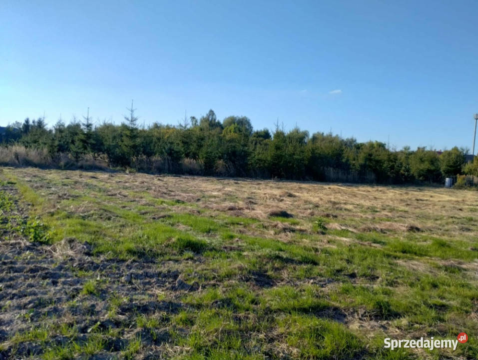 Sprzedam atrakcyjną działkę budowlaną Szczedrzykowice