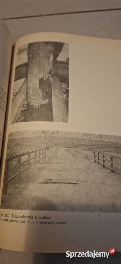 Cieśla Mostowy 1 wydanie niski nakład 2700300 wielkopolskie