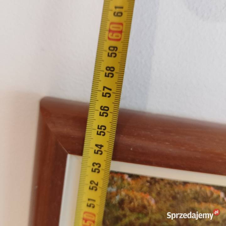 Obraz pejzaż ręcznie malowany w ramie sygnowany Wola Łużańska