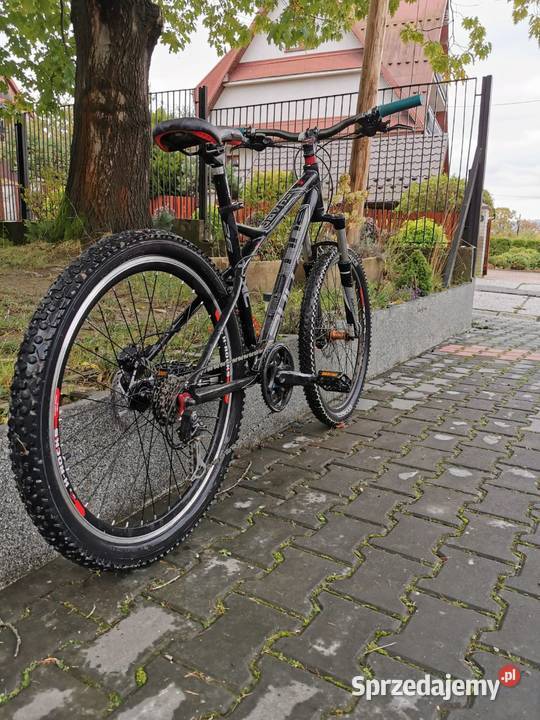 Bulls sharptail 2 małopolskie Rabka-Zdrój sprzedam