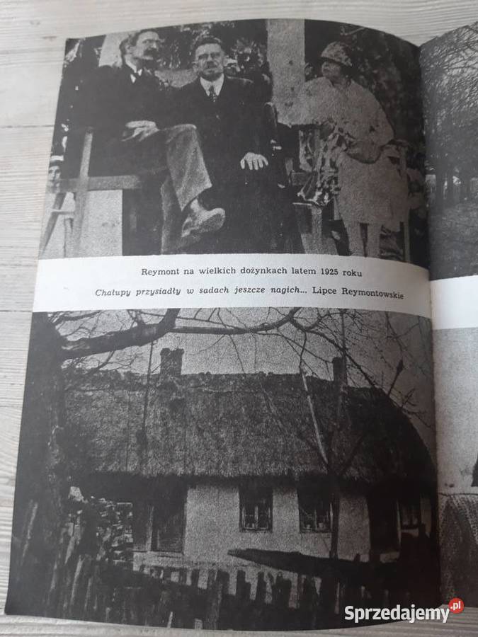 Malwy na lewadach Barbara Wachowicz 1985 śląskie Bielsko-Biała