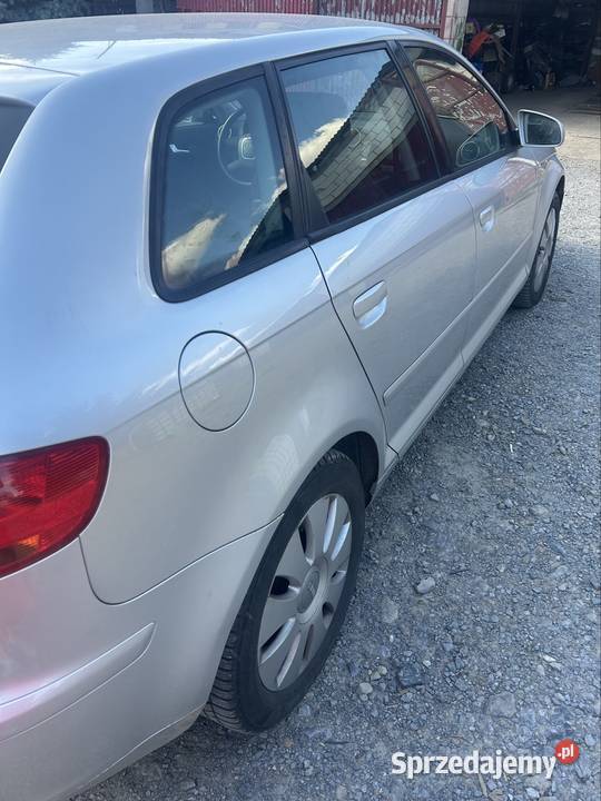 Audi A3 8P Sportback Gołębiów