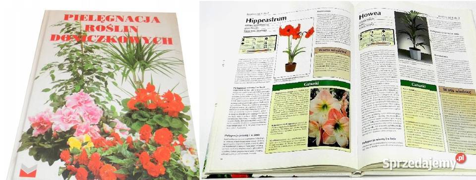 Pielęgnacja roślin doniczkowych Beata Przybylska Poradniki, albumy i reportaże świętokrzyskie Kielce sprzedam