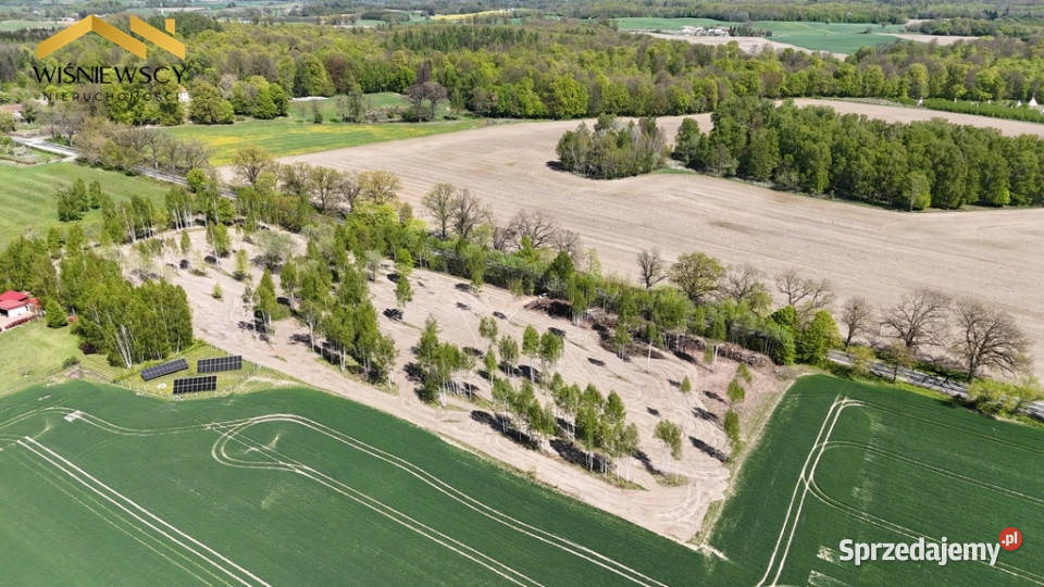 Działka 5306 m Dawidy