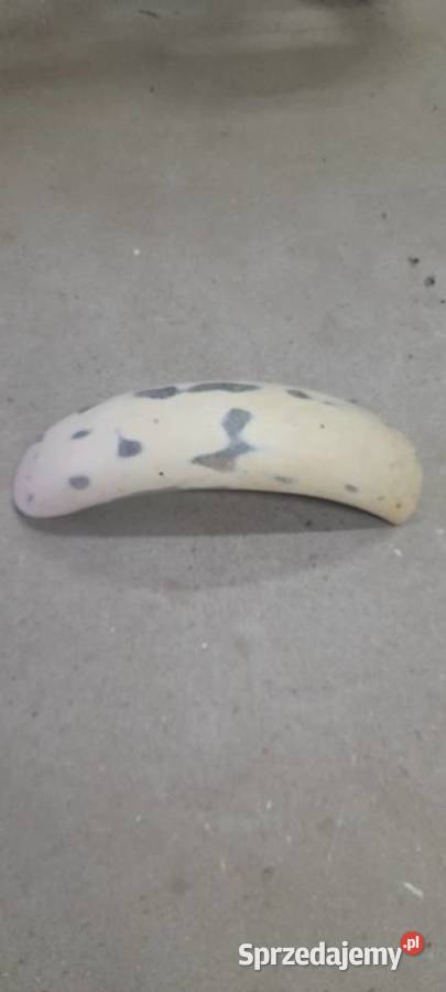 Blotnik tył choper custom honda kawasaki yamaha Świebodzin