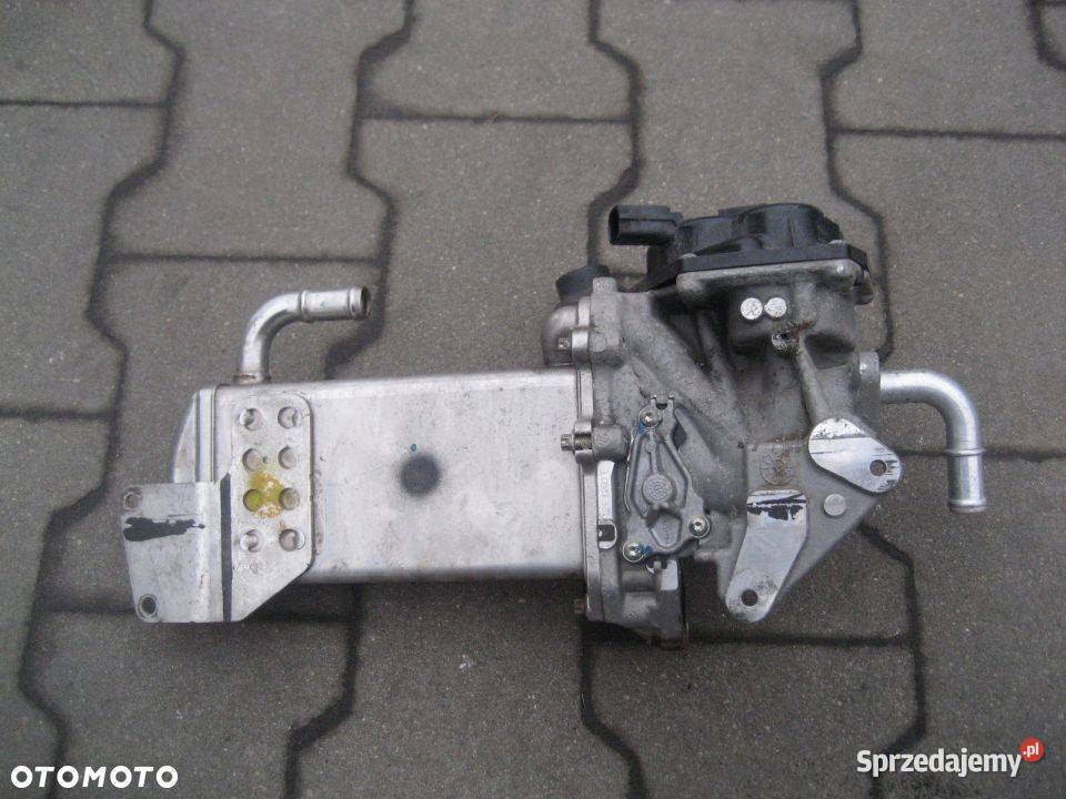 VW T5 LIFT T6 CHŁODNICA EGR 03L131512BM V100