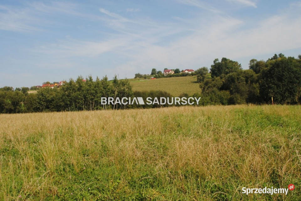 Działka Gruszów 9200m2 42zł/m2 sprzedam