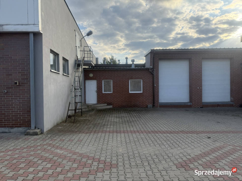 Powierzchnia magazynowa do wynajęcia Wynajem łódzkie Pabianice