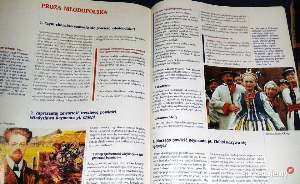 Cogito Język polski 6 Pytania i odpowiedzi lubelskie Chełm