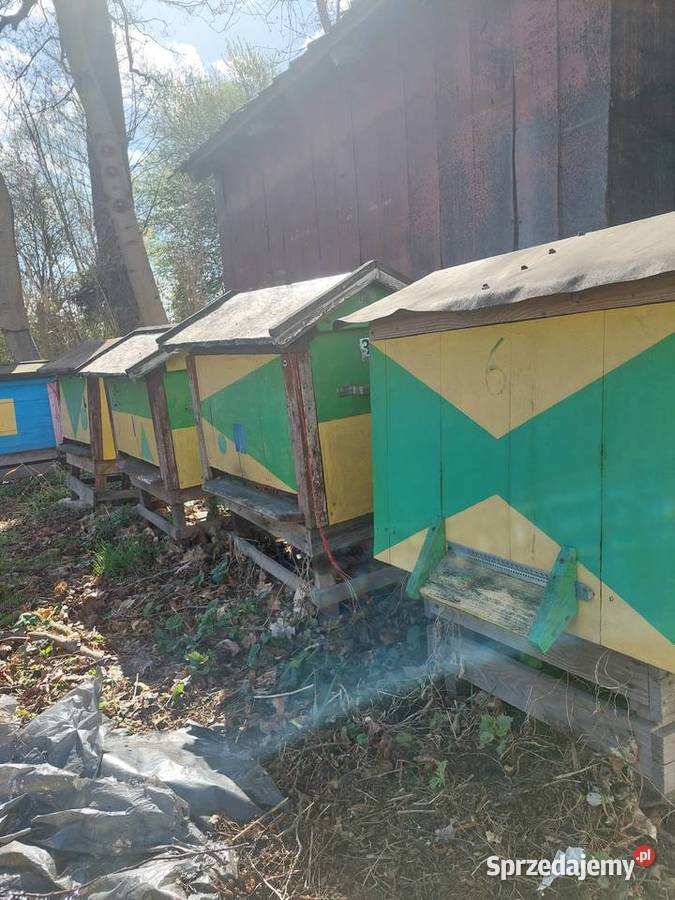 Sprzedam ule warszawskie urzywane lubelskie Biłgoraj