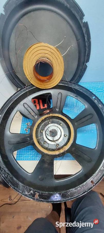 Naprawa Regeneracja Głośników Wymiana Zawieszeń Starachowice