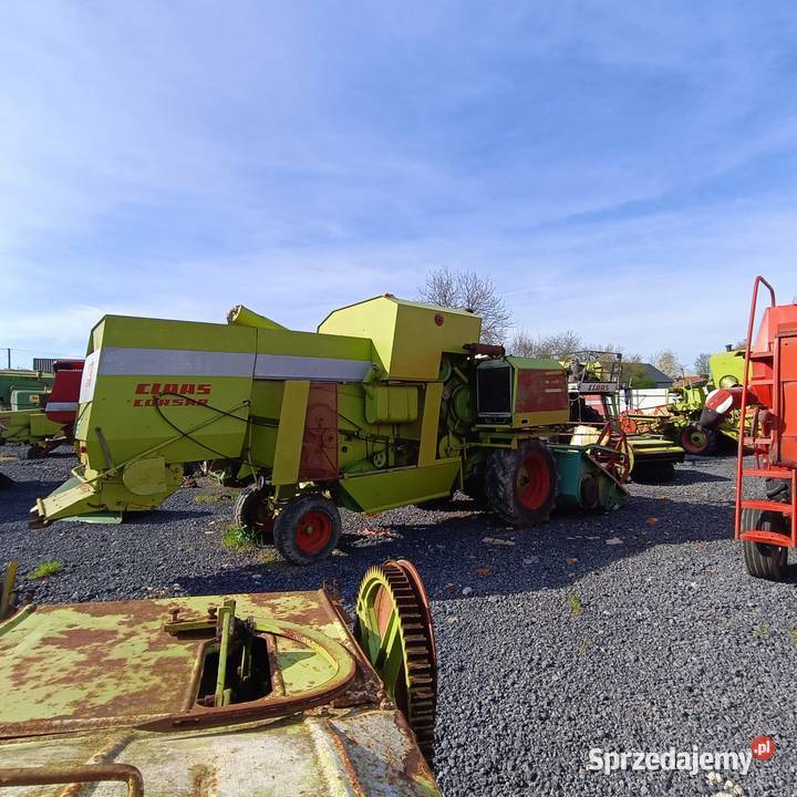 Claas Corsar sieczkarnia perkins Bukowie