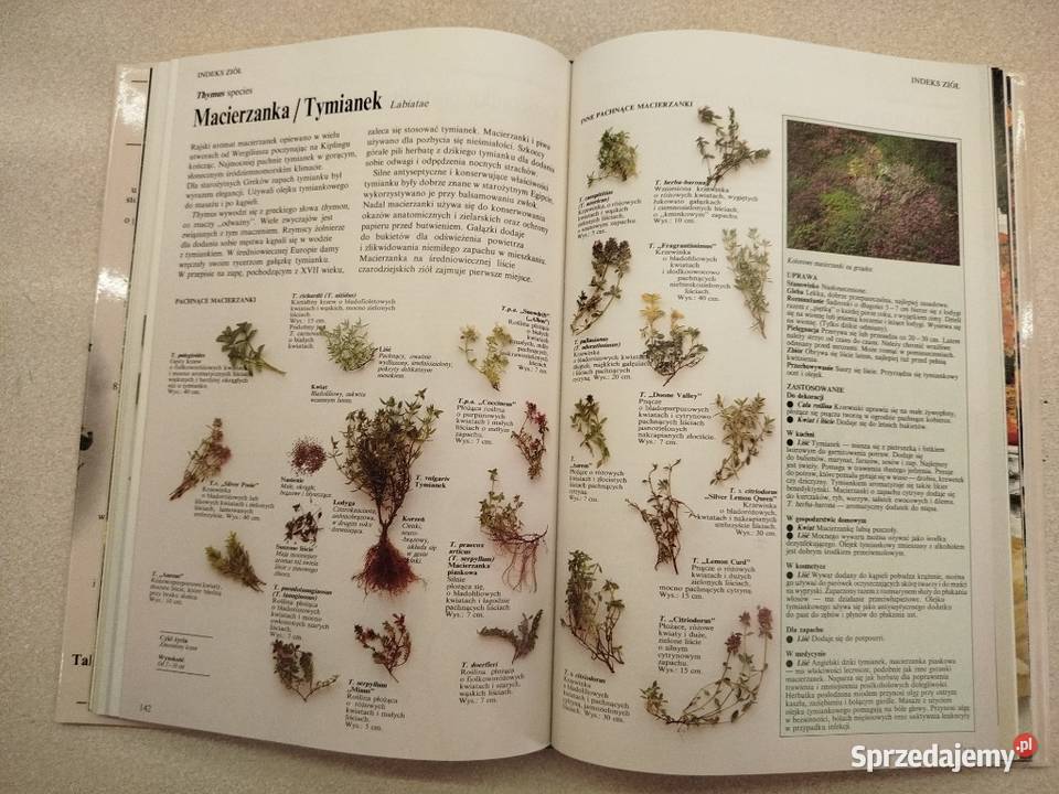 Wielka księga ziół Lesley Bremness encyklopedie, słowniki, leksykony sprzedam