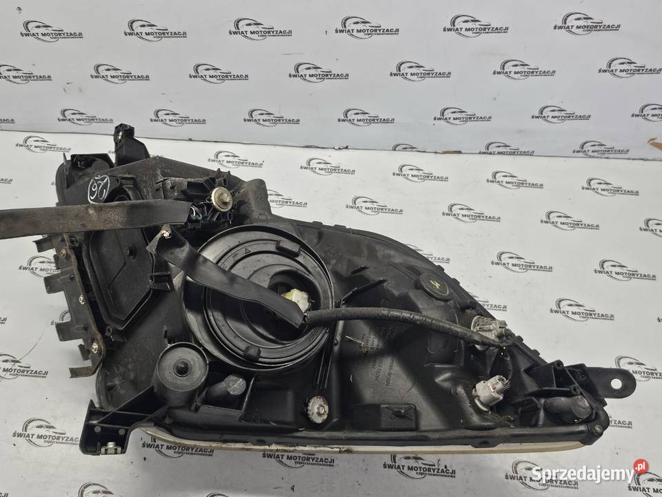 TOYOTA PRIUS XW20 06r lampa prawa przód ANGLIK świętokrzyskie Kielce sprzedam