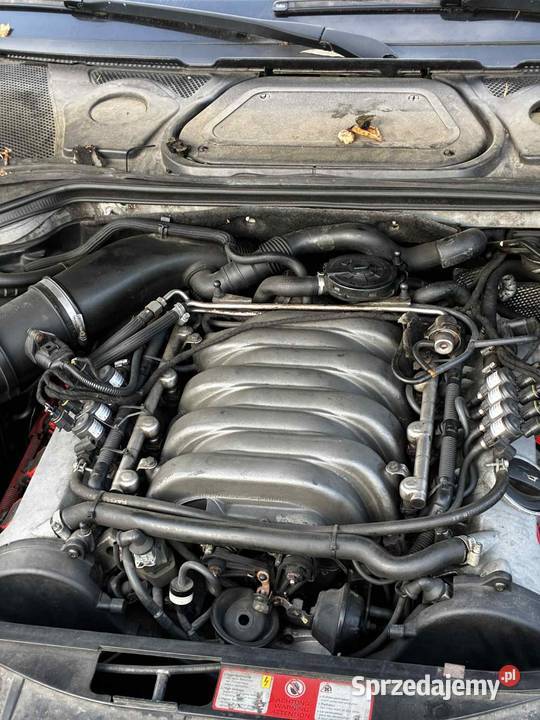 Audi A8 D3 42 BG benzyna+LPG Chełm