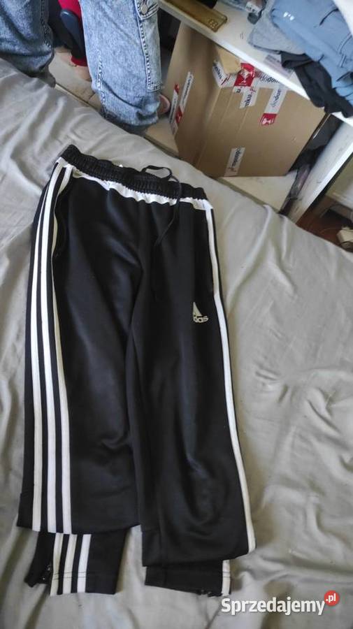 Dresy adidas Szczecin