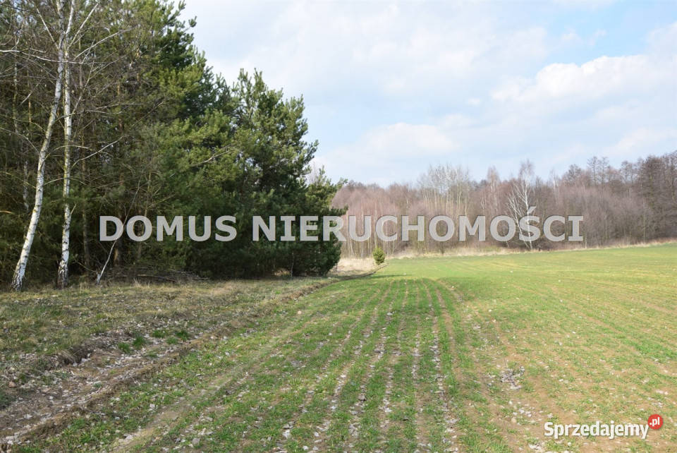 Dom wolnostojący Frydrychów 60m2