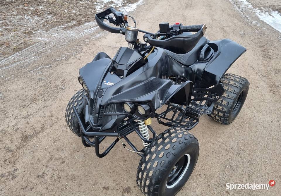 Quad 125cc Bombardier Koła 8 Duża Rama SUPER Rok produkcji 2013 kujawsko-pomorskie Kruszwica
