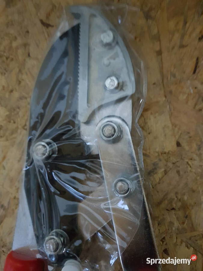 TELESKOPOWE NOŻYCE SEKATOR DO GAŁĘZI ŻYWOPŁOTU Głogowa