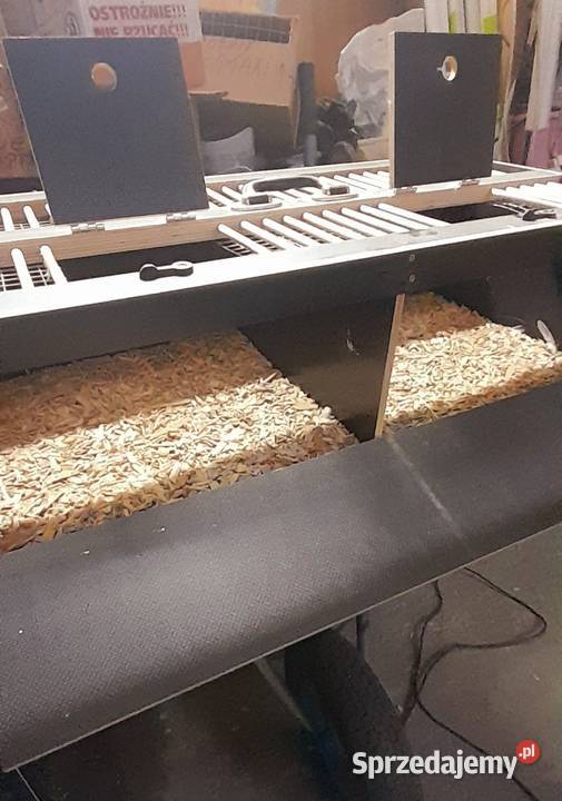 Transportówka ptaków Ostrów Wielkopolski