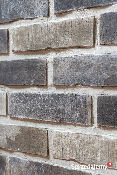 Płytki ceglane Zagłębie Ruhry 2820