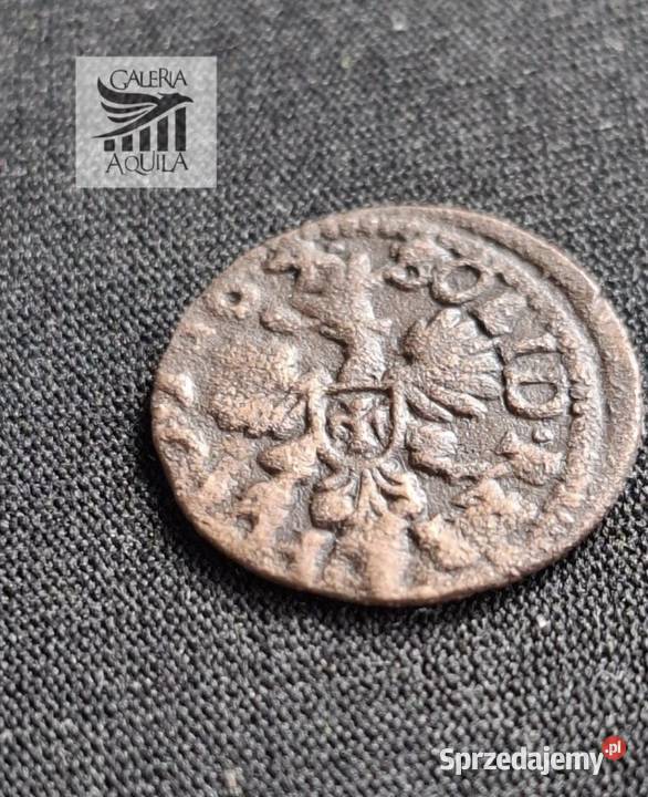 Szeląg koronny Jan II Kazimierz z 1664 roku Wejherowo