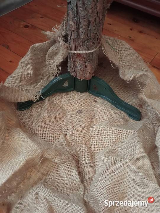 Choinka na pniu 180 ośnieżona lampki w komplecie zielony Jaworzno