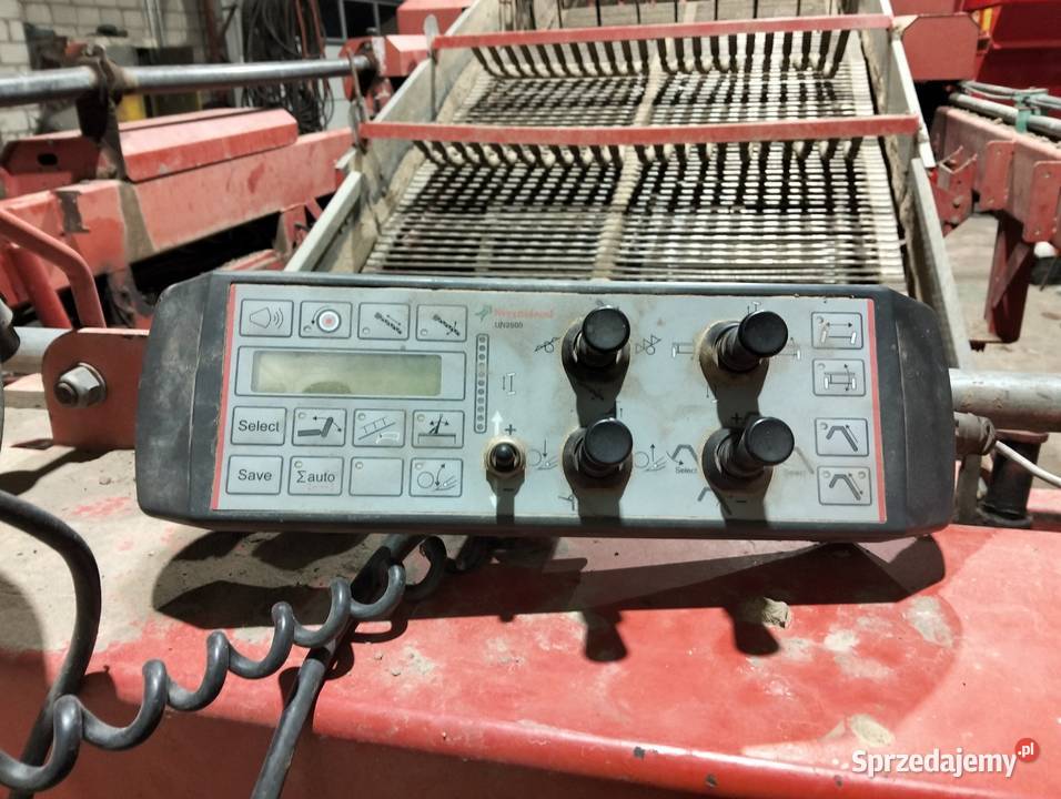 Kvernelans nieuszkodzony Błaszki