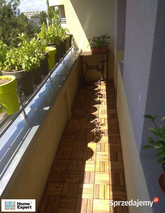 2pok 48met Sky Tower BALKONPIWNICAWINDA Wrocław parter dolnośląskie