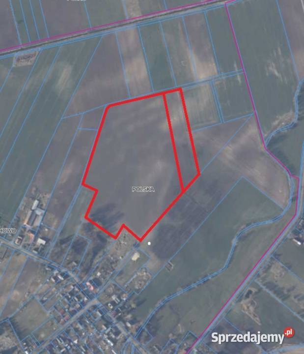 Działka rolna 84 ha w dwóch kawałkach obok Głuchowo sprzedam
