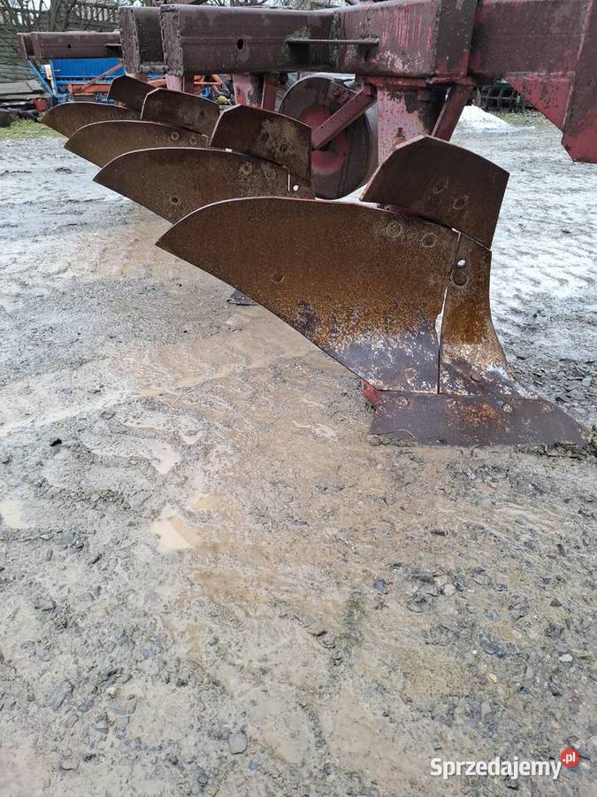 Pług 4 skibowy Pozostałe Nowa Słupia