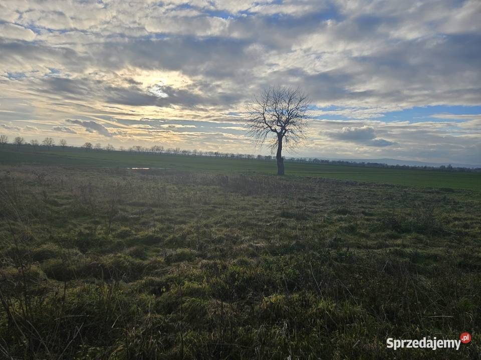 Działka w rozwijającej się okolicy Snowidza