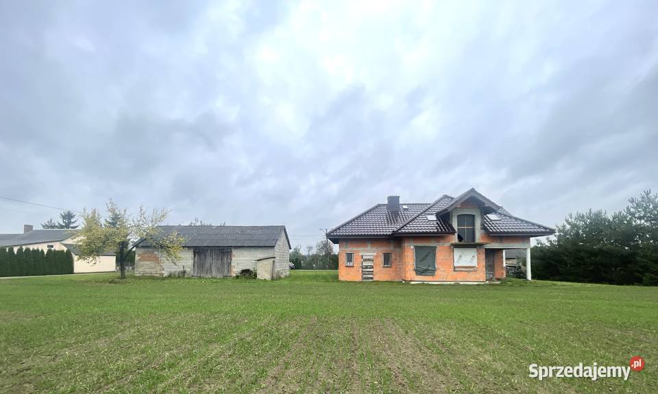 Sprzedam wielkopolskie Dęby Szlacheckie