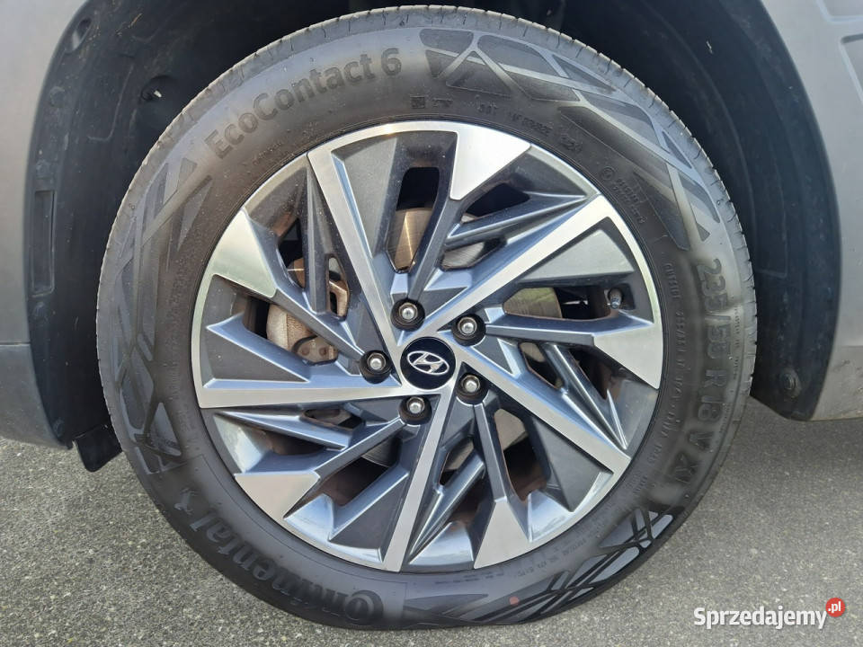 Hyundai Tucson 16 TGDi 48V Executive 4WD DCT Z lakier metallic Hyundai Warszawa